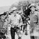 photo du film Le Ranch des pur-sang