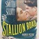 photo du film Stallion Road