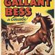 photo du film Adventures of Gallant Bess