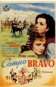 voir la fiche complète du film : Campo Bravo