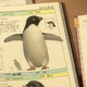 photo du film Le Mystère des pingouins