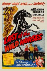 Last Of The Wild Horses