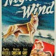 photo du film Night Wind