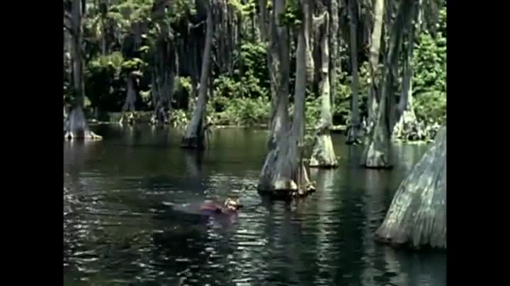 Extrait vidéo du film  On an Island with You