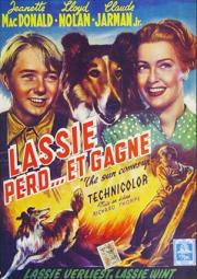 Lassie Perd Et Gagne