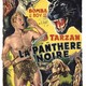 photo du film La Panthère noire