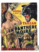 voir la fiche complète du film : La Panthère noire