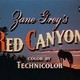 photo du film Red Canyon
