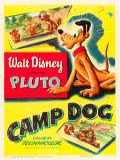 voir la fiche complète du film : Camp Dog