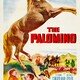 photo du film The Palomino
