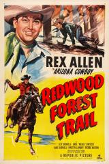 voir la fiche complète du film : Redwood Forest Trail