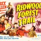 photo du film Redwood Forest Trail