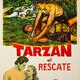 photo du film Tarzan et la belle esclave