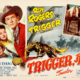 photo du film Trigger fils