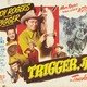 photo du film Trigger fils