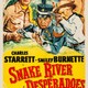 photo du film Snake River Desperadoes