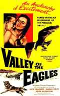 voir la fiche complète du film : La vallée des aigles