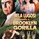 photo du film Le Gorille de Brooklyn