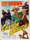 voir la fiche complète du film : Canyon Ambush