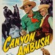 photo du film Canyon Ambush