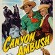 photo du film Canyon Ambush