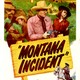 photo du film Montana incident