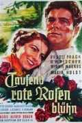 voir la fiche complète du film : Tausend rote Rosen blüh n