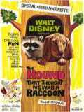 voir la fiche complète du film : The Hound That Thought He Was a Raccoon