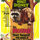 photo du film The Hound That Thought He Was a Raccoon