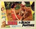 voir la fiche complète du film : The Black Panther