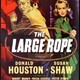 photo du film The Large Rope