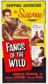 voir la fiche complète du film : Fangs of the Wild