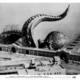 photo du film Le monstre vient de la mer