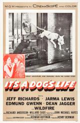 voir la fiche complète du film : It s a Dog s Life