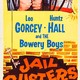 photo du film Jail Busters