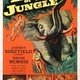 photo du film Bomba le seigneur de la jungle