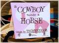 voir la fiche complète du film : A Cowboy Needs a Horse