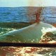 photo du film Les Hommes de la baleine