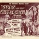 photo du film Perils of the Wilderness