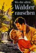 Wo die alten Wälder rauschen