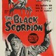 photo du film Le Scorpion noir