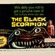 photo du film Le Scorpion noir