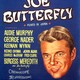 photo du film Joe Butterfly