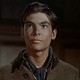 photo du film Johnny Tremain