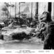 photo du film L'oasis des tempêtes