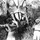 photo du film Monster from Green Hell