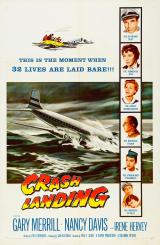 voir la fiche complète du film : Crash Landing