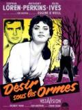 voir la fiche complète du film : Désir sous les ormes