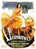 voir la fiche complète du film : Flamenco