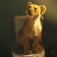 photo du film King